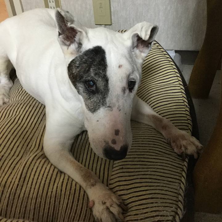 Bf9fe9c0 aa50 4dcb be63 310fadeca078