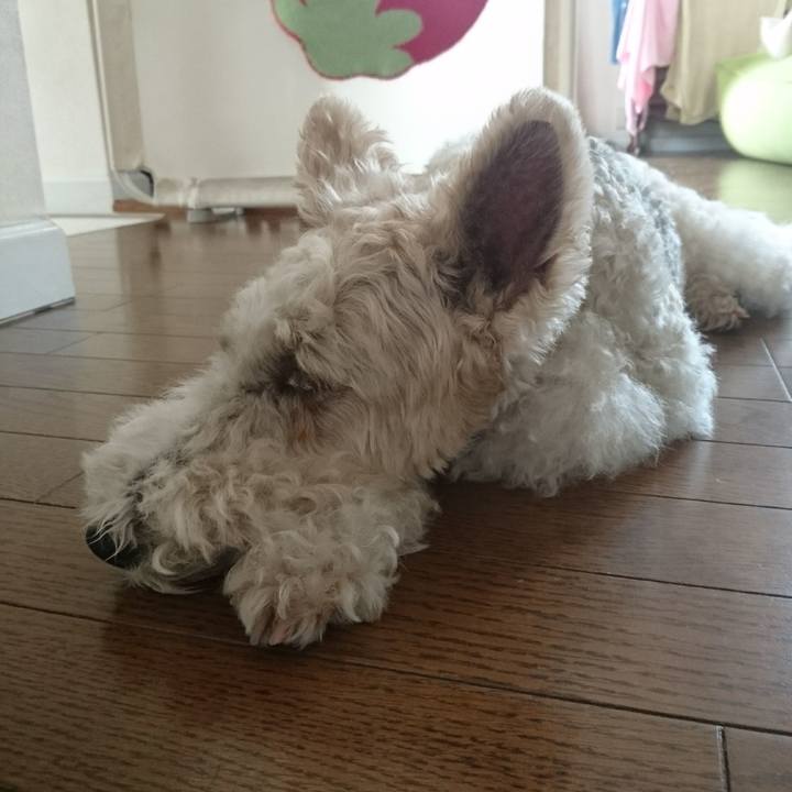 Bfa106f0 1807 4ae2 8e88 dbcd40ca37b9