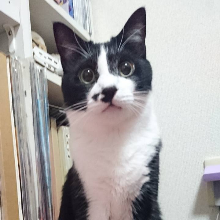 Bfa11113 24d1 43e7 96da 79597eced284