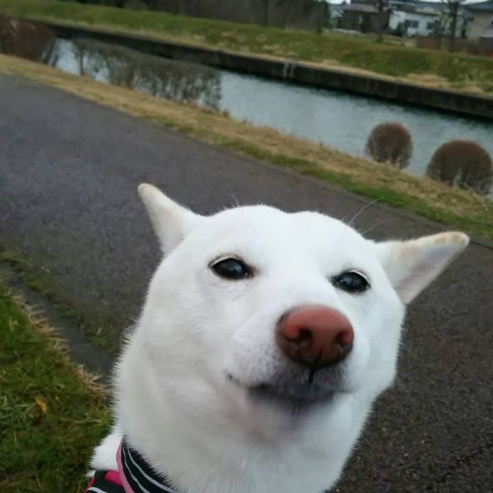 Bfa14069 8741 4401 a39e 0d918b65a893