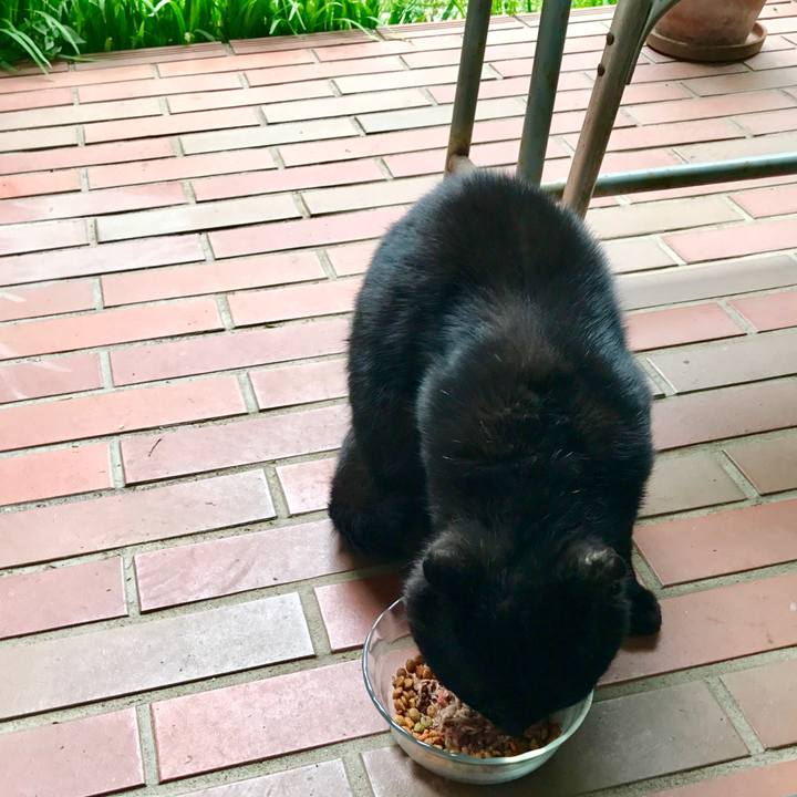 Bfa22cee 2d90 48e3 8467 5ef7b8aed05e