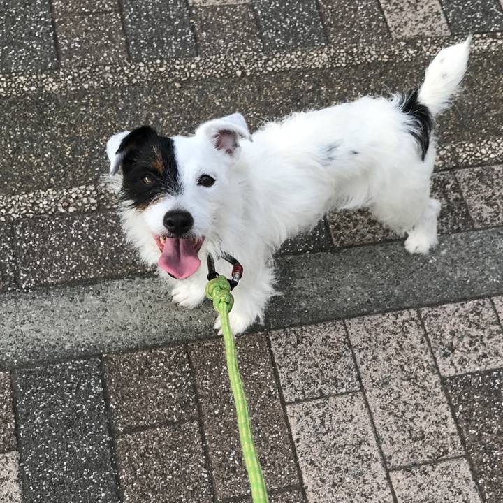 Bfa233ad ea85 4c50 aa17 8beebff98b91