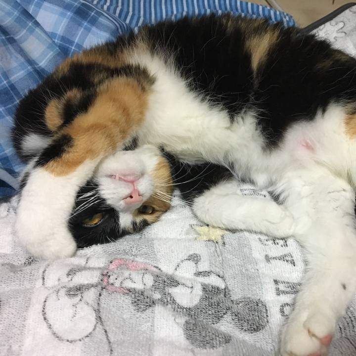 Bfa2a29a 2387 4550 b99e ef4a311932fc