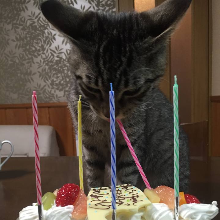 Bfa38394 3341 433e 81ca 784f93b361bc