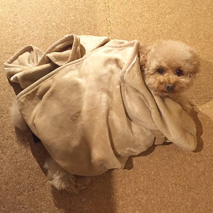 Bfa3acff 7c4d 4046 9f95 c71270363a4c