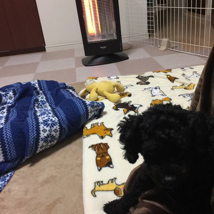 Bfa45d88 cceb 4a13 8089 7c1c7ddf10b1