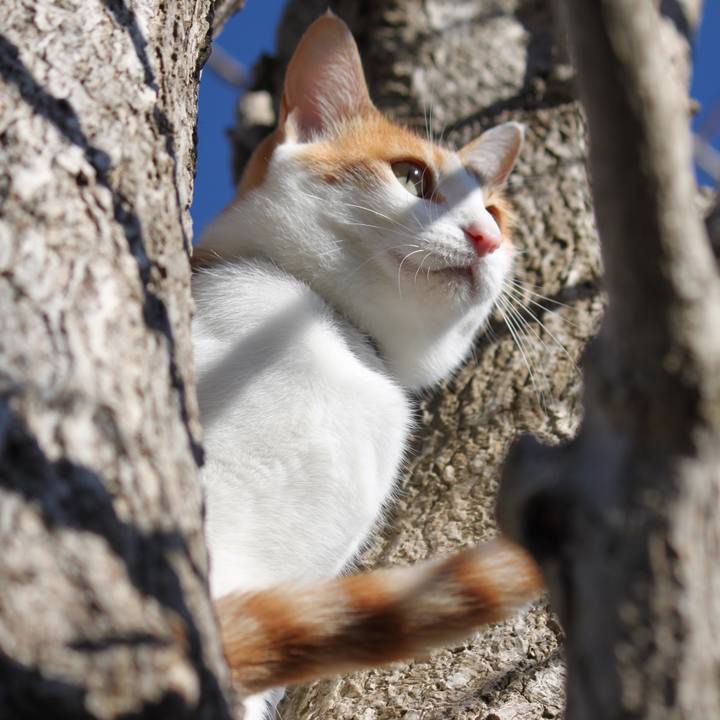 Bfa48574 e910 45b0 9315 54a45f52370e