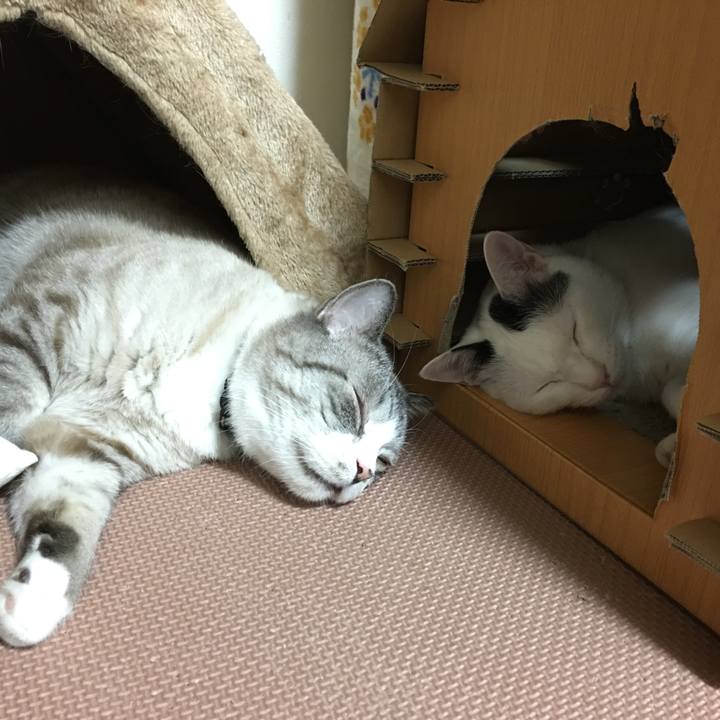 Bfa4f759 d358 49d5 a15e 096c532e2437