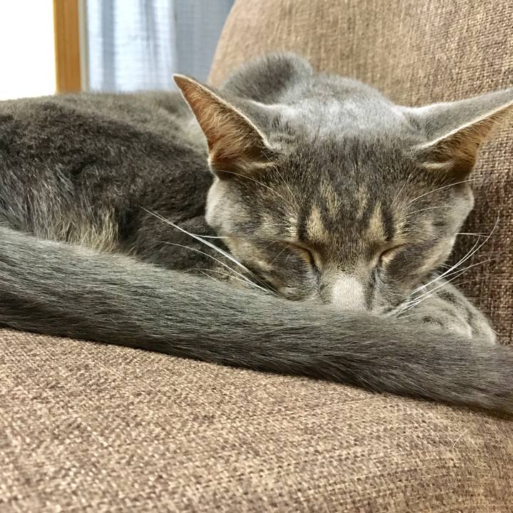 Bfa55b81 36e3 4500 a2aa 8fd1ce7c8d30