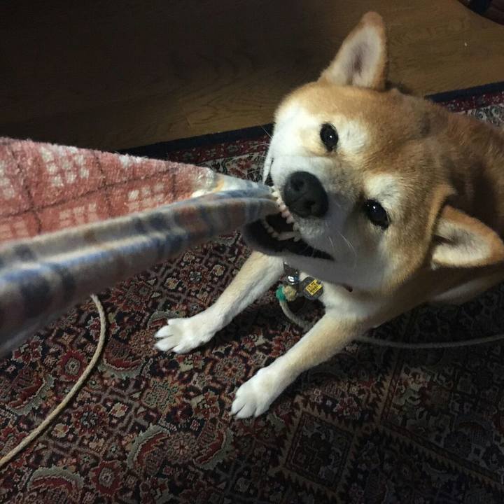 Bfa5c824 6ab4 46ea 842e 90c236b7c2fb