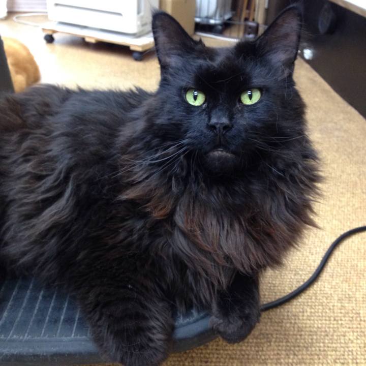 Bfa69ccb c08c 48a5 929e c66379ac24a2