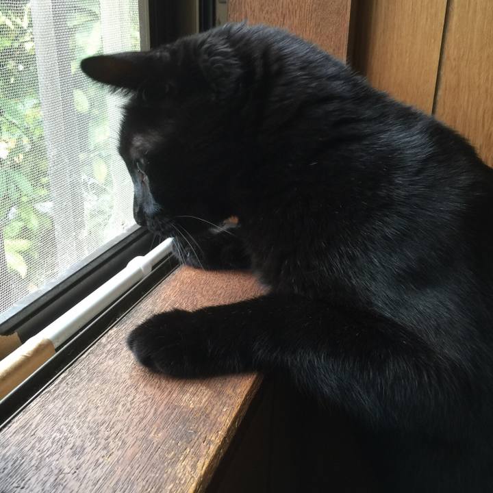 Bfa7bab4 3bb3 4f14 88c4 435969f9afd5