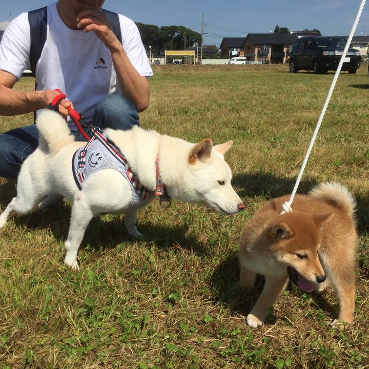 Bfa7dcbb 18d8 4d25 9adf 0f317c302f07