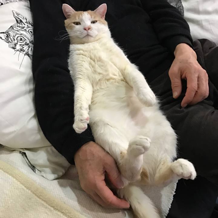 Bfa8c9c6 6a0a 461d 9df1 21d817be7d4c