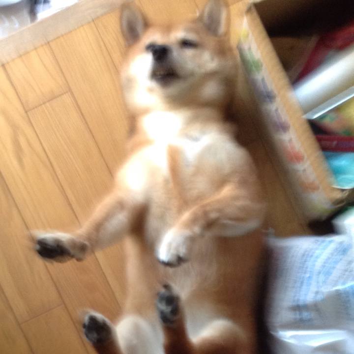 Bfa974f9 e286 43d8 a29c f73b7934d13c