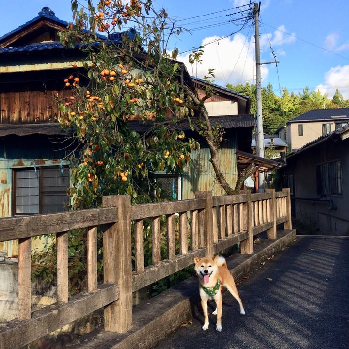 Bfa97bca 5402 498b 8a12 368a140dc149