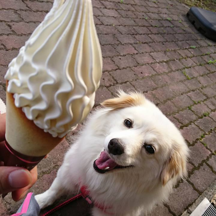 Bfa9aad3 afee 45b9 b3ba 7f6a8b00d974