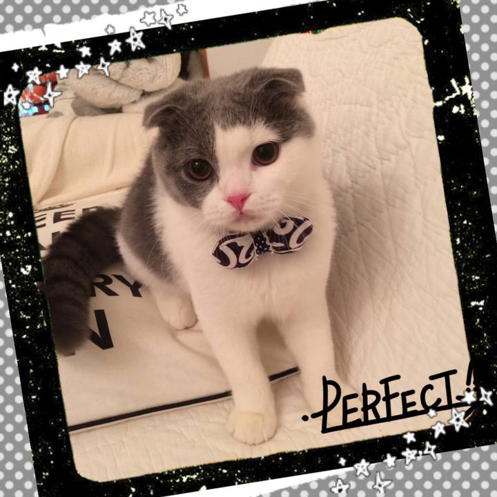 Bfa9da71 1a1c 4174 91f8 899180cf42a7