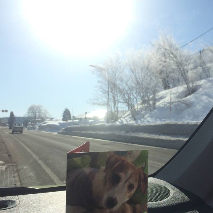 Bfaa1dec 33cc 449e b891 c169d4dc687c