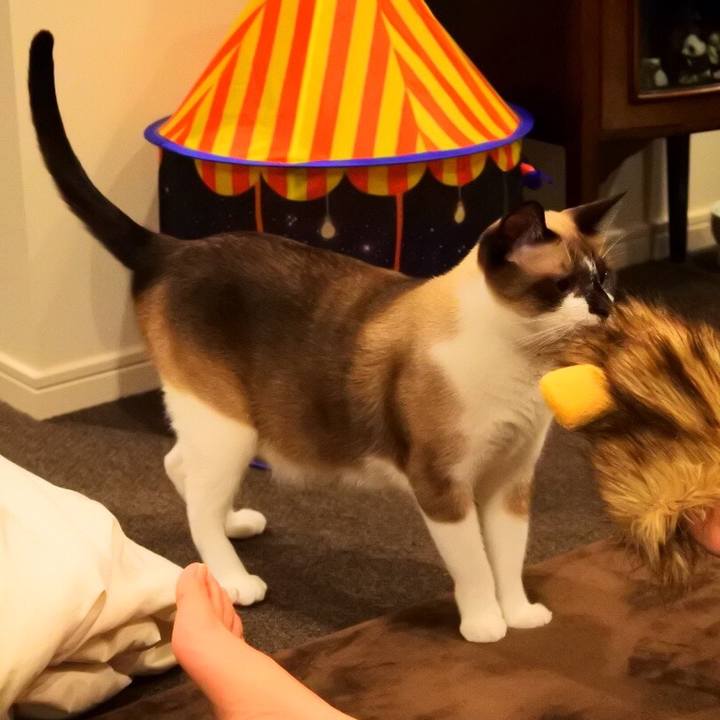 Bfaad5e1 38d0 4bac 92a7 c902349f5cc3