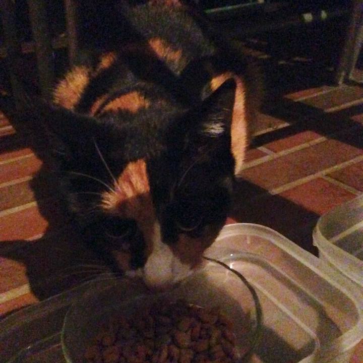 Bfab5be5 fe01 422f 9867 cf538c19d93e