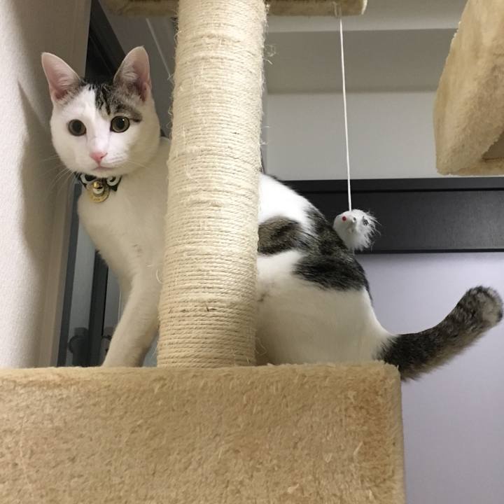 Bfab70c7 0f21 4f5b 8dfd 15a06a807a9d