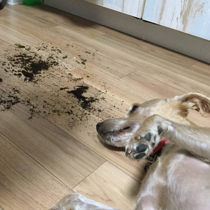 Bfab86e5 4975 4587 b95a 8757ef2e5730