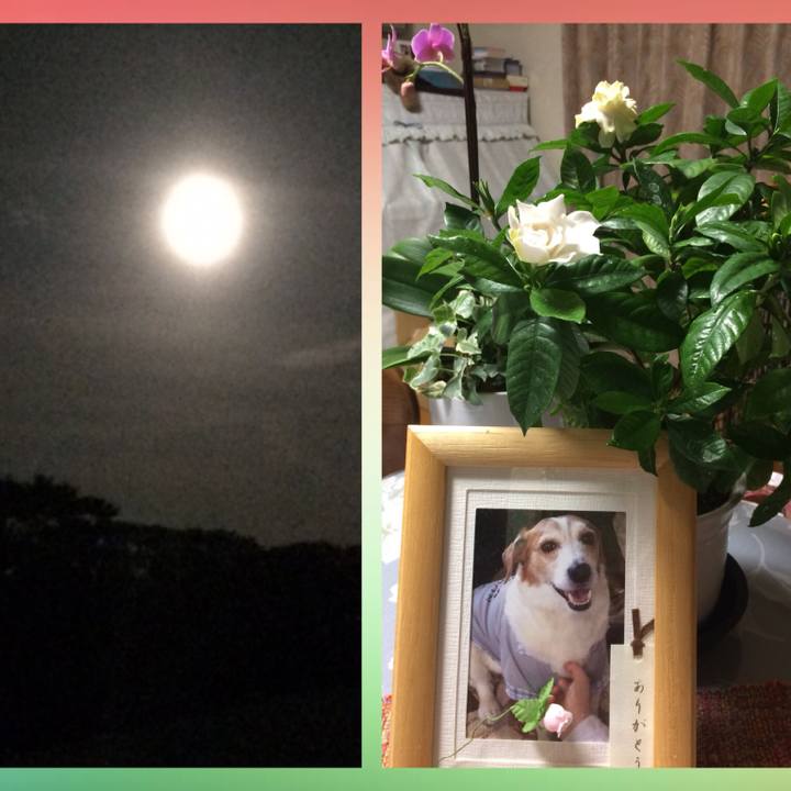 Bfac1e3e e92c 4a17 bb79 e2491a2100db