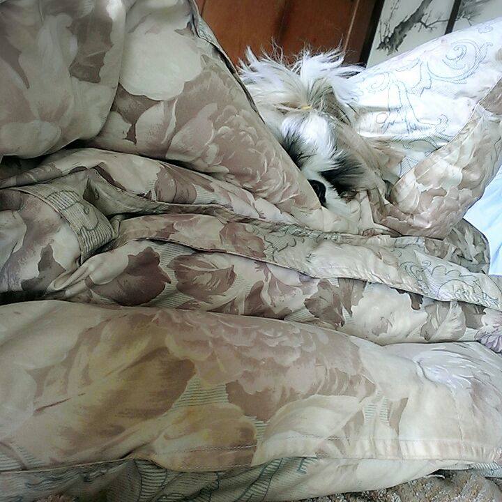 Bfac4933 674e 490c 8f05 52edfe292989