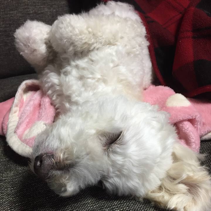 Bfacaa02 6c35 4ff0 b74d b1561c0a3b55