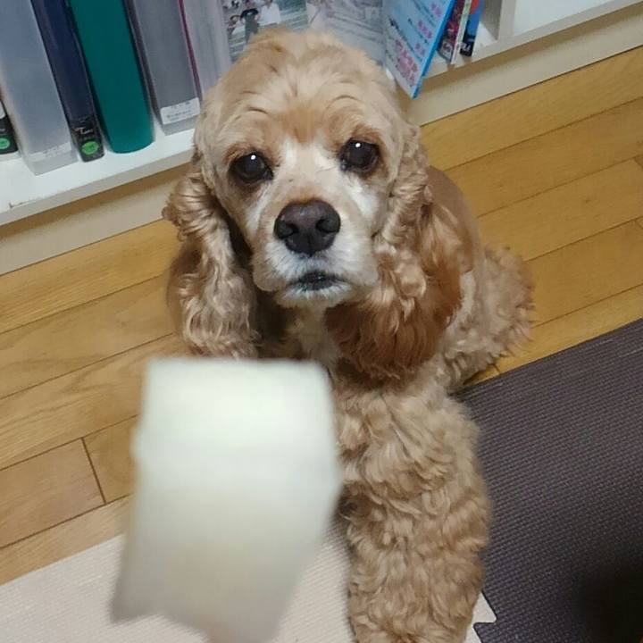 Bfacf52f 821c 4d7a 8d5f 31c4e7a9a395