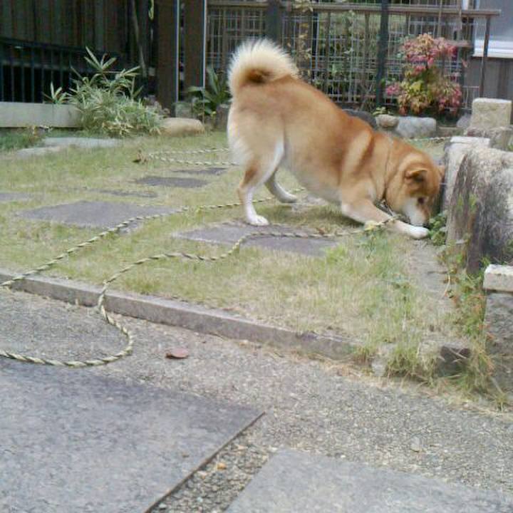 Bfadee0c 9312 47d1 ad37 a3a8df147c0b