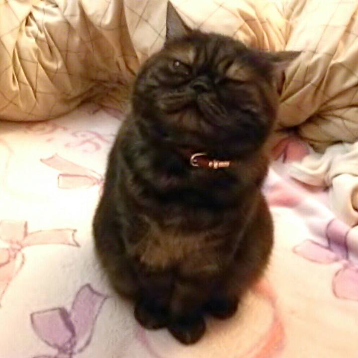 Bfae8ff7 e606 40e5 ae4c a9ab71aea0ba