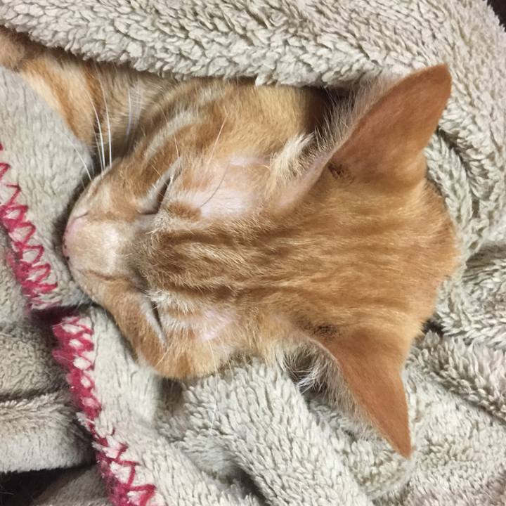 Bfaee960 7569 464d 8182 d1cf67d6665f