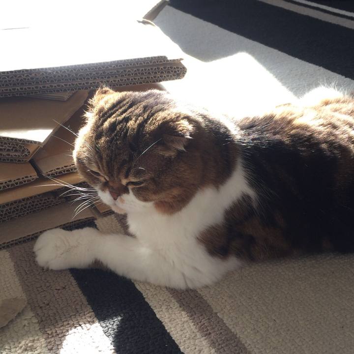 Bfaf79ef c8c1 41b7 976a 0cbc1bf7de70