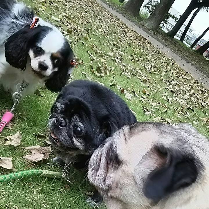 Bfaf85c8 816a 47d3 b8ec 6c8aabcc6a9f