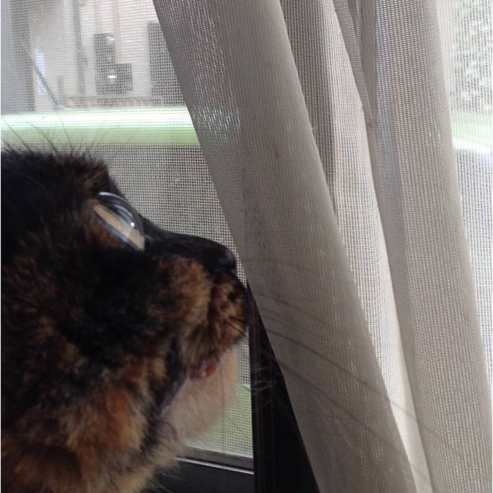 Bfafd039 9510 4564 8c8b be14664628a1