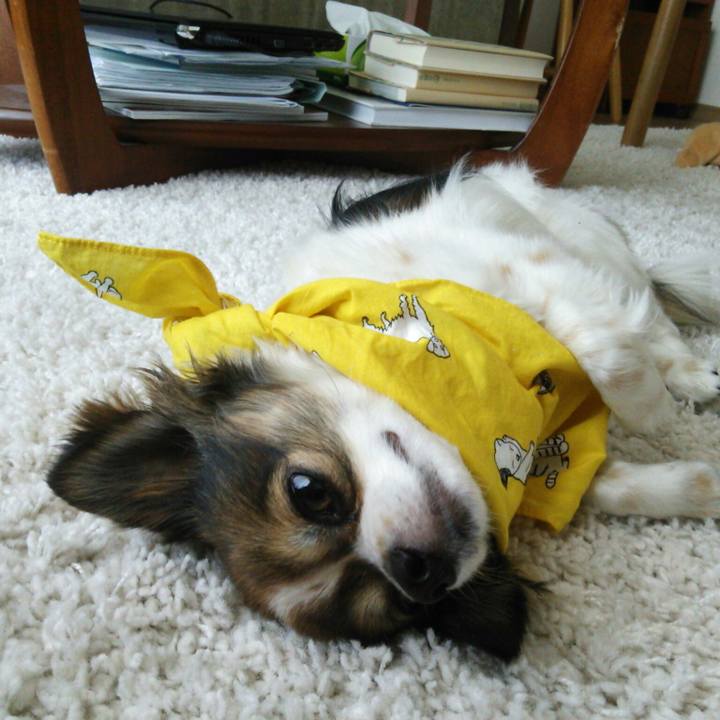 Bfafdaac 02ad 4745 9f7b 86870e30e73b