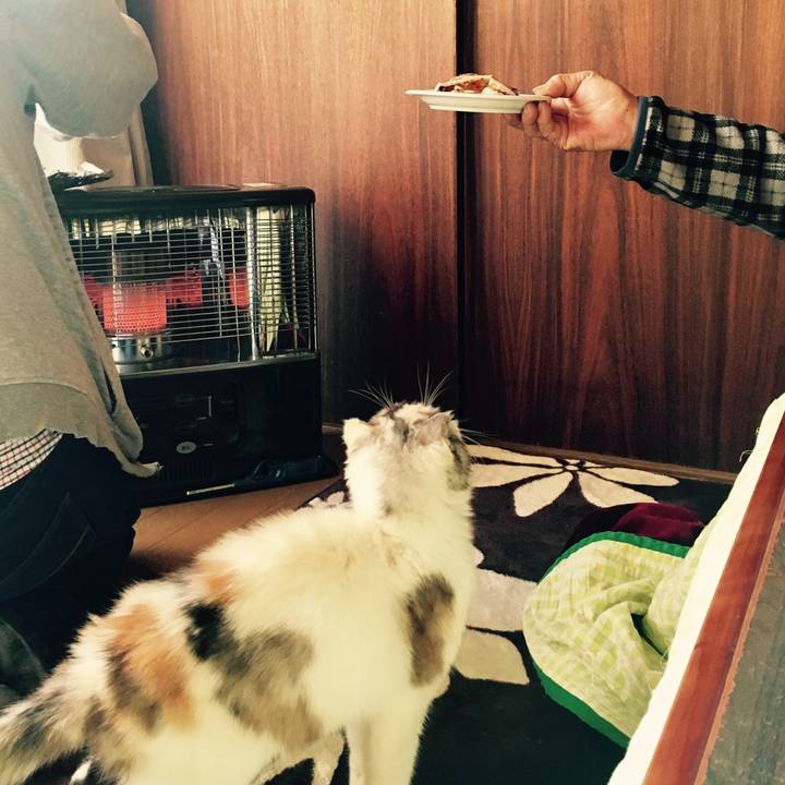 Bfb0214a 9ad7 400f 8223 0d664bf53704