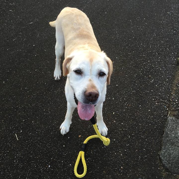 Bfb0265f cde8 4488 ad61 bfcb911515b6