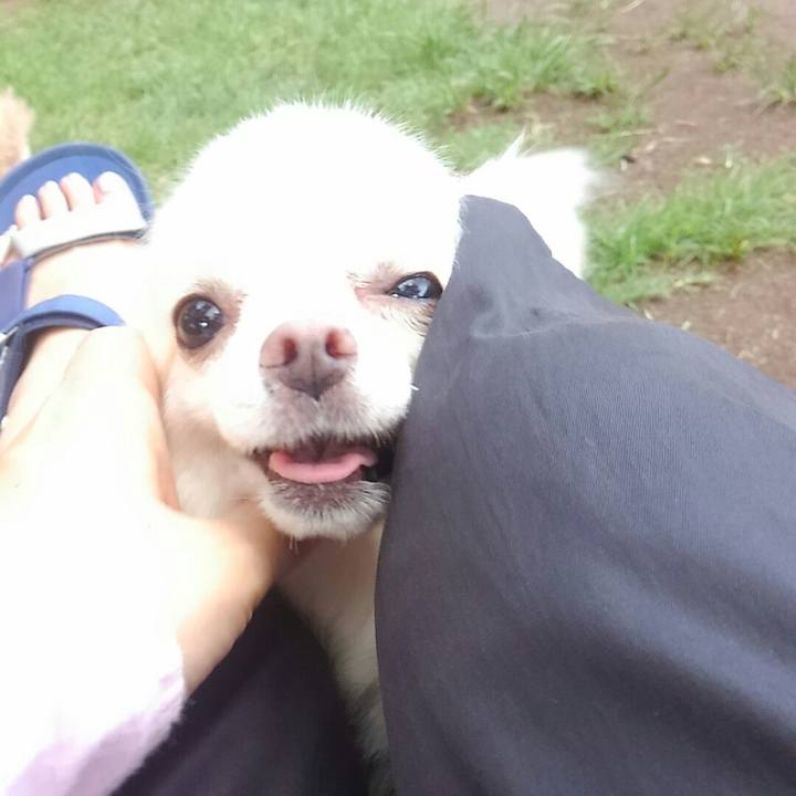 Bfb073f5 e7c5 428a b4a8 051b63641192