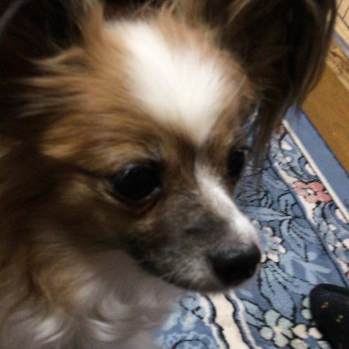 Bfb17bef ffd8 48b6 984d 137be079bf81