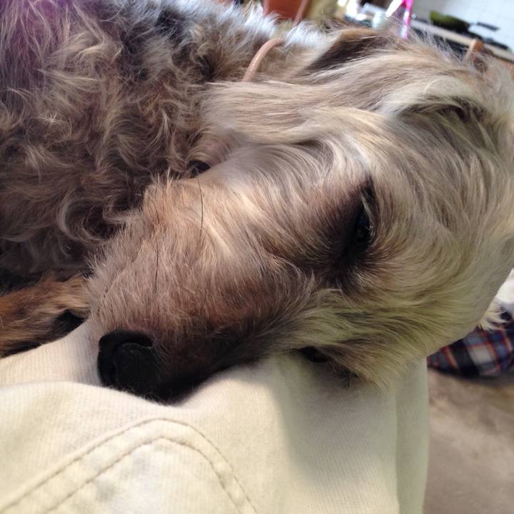 Bfb198ca 86b0 49ce a2e1 3daaaabfa0e2