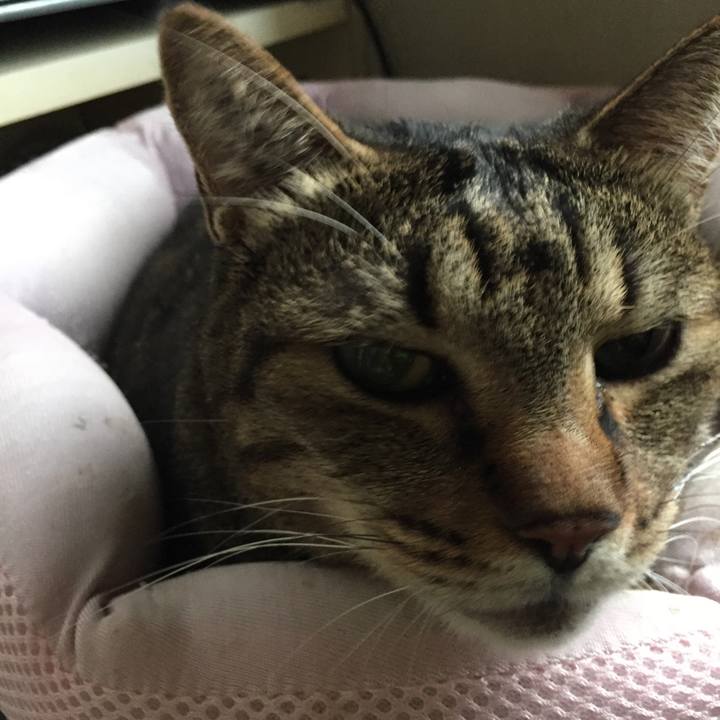 Bfb1b7c1 0383 45bb b5b4 23d80a9b0654