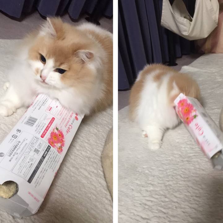 Bfb21e20 9217 478f 9338 4b1d96444883