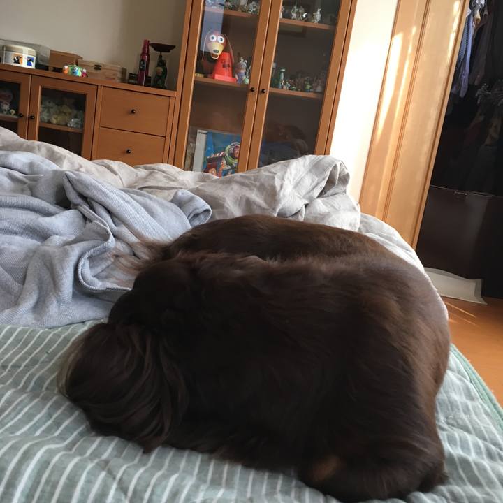 Bfb28cc3 e0a0 4210 b0ed ef0eb6a9cb6a