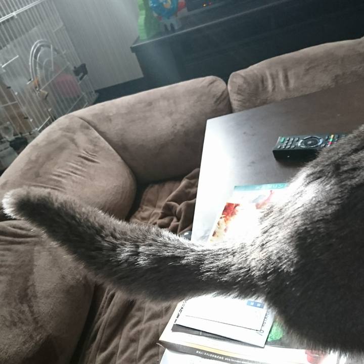 Bfb2a4c3 1af7 496b 98a2 f7e83594e1e8