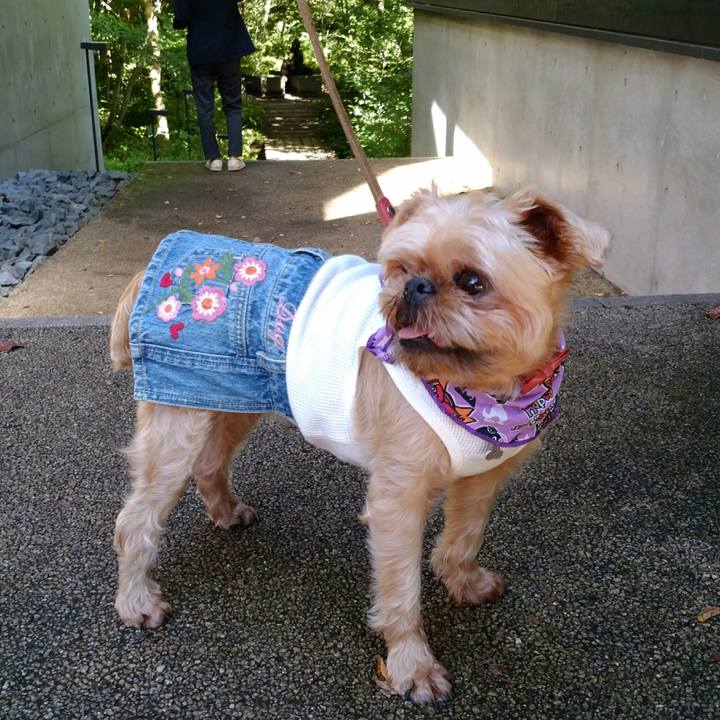 Bfb3a3f1 105b 49ab 82a0 93cc14ce253b