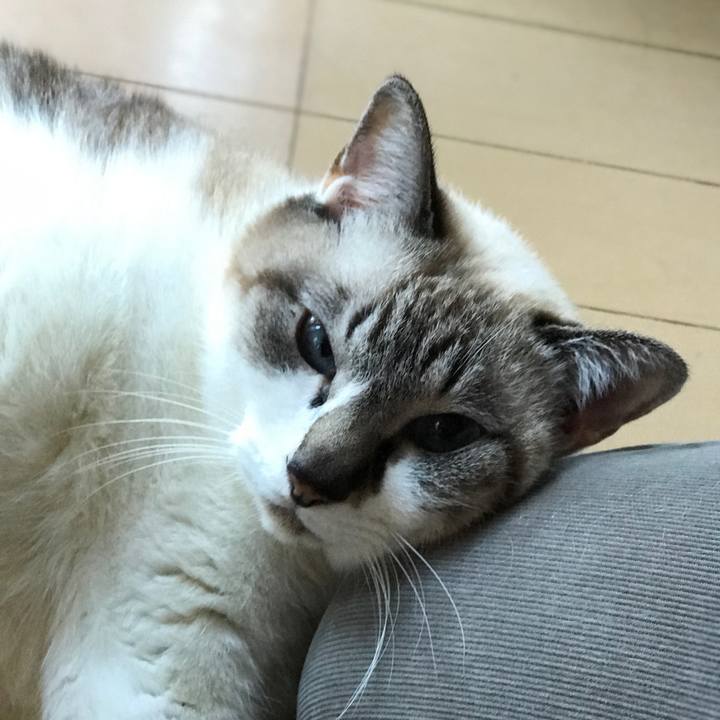 Bfb3ed08 763d 4323 879a b2d5620fdd34