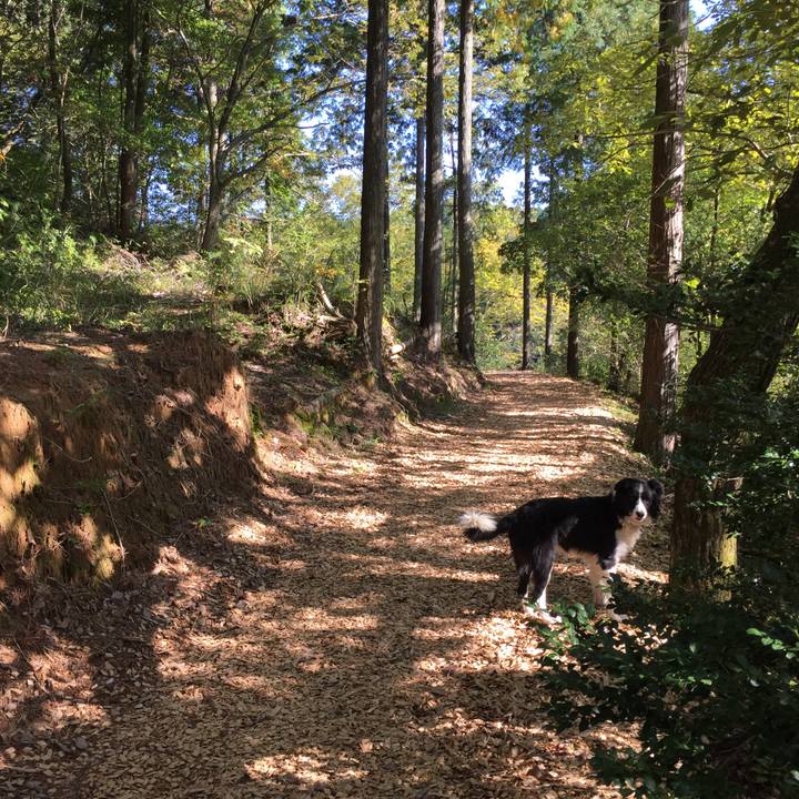 Bfb4be70 11e2 456a a94b 860852df501b